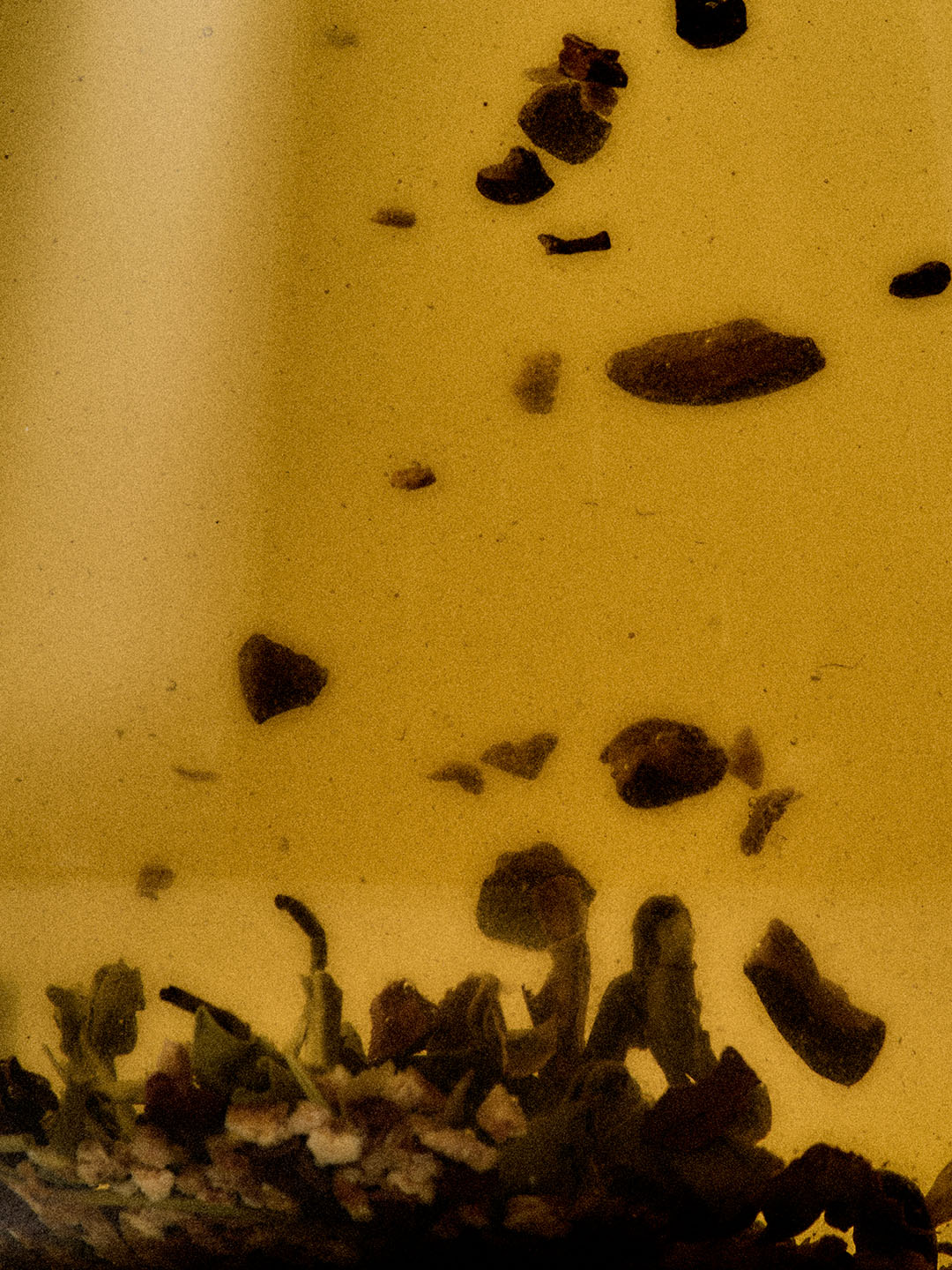 1월 6일 눈의 볕 [3 Tea bags] image number 2